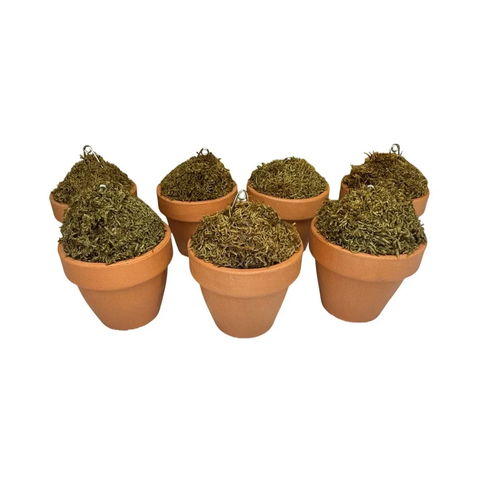 Williams‎ Sonoma Moss Topiary Flower Pot Place Card Holders Set of 7 Terracotta